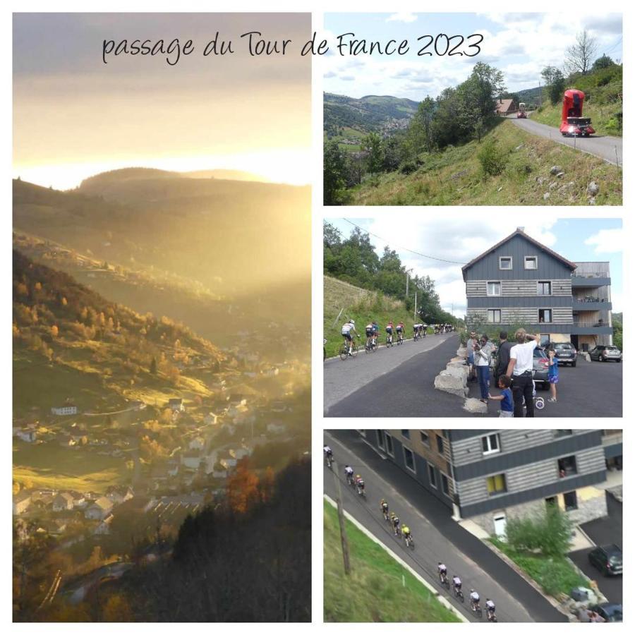 Le Massif - Appartement Avec Vue Imprenable La Bresse Kültér fotó